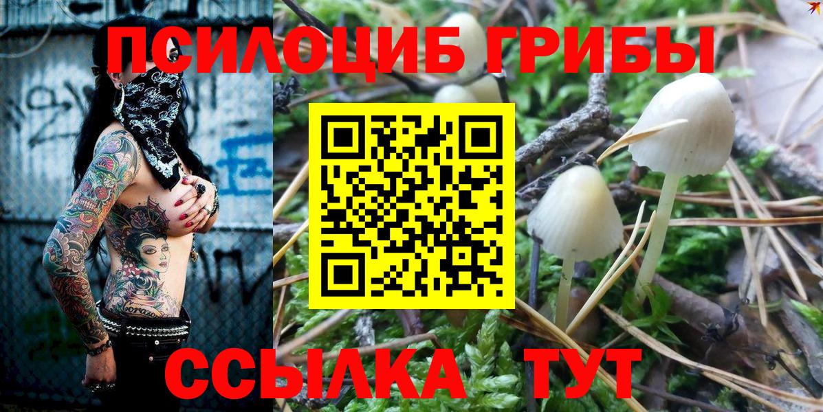 Псилоцибиновые грибы MAGIC MUSHROOMS Нарткала