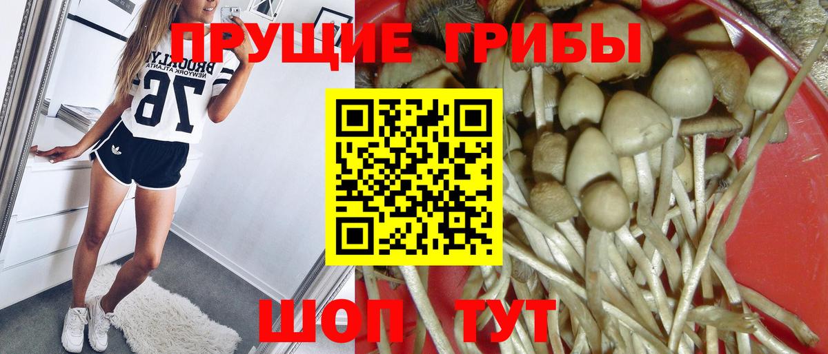 Псилоцибиновые грибы Psilocybine cubensis  Вход с VPN  Нарткала 